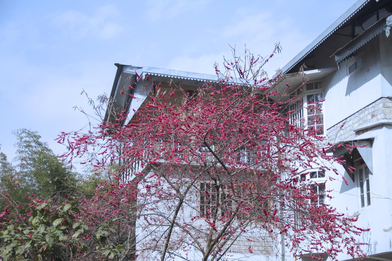 The Mazong Hotel กังต็อก ภายนอก รูปภาพ